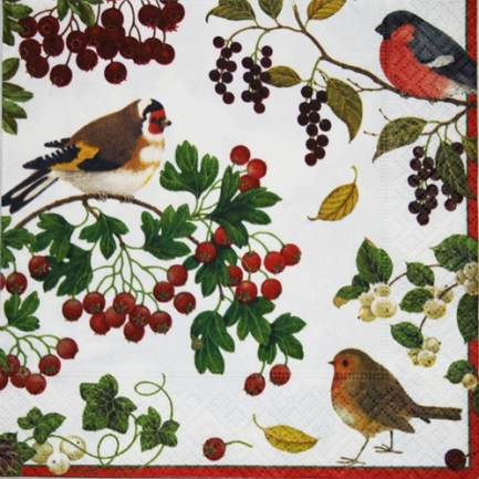 Winter Birds (Domherre) Luncheon Napkins by Caspari - Package of 20 paper napkins by artist Karen Fjord Kjaersgaard. Perfect for this years Christmas party!